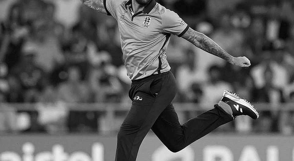 The Bat's Wood and the Pad’s Shadow: Cricket’s Hidden Historical Ledger